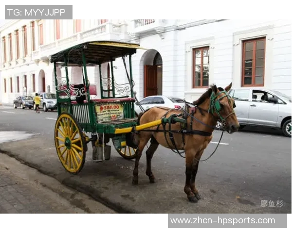 马车与现代交通工具的对比分析及其在历史文化中的重要性探讨